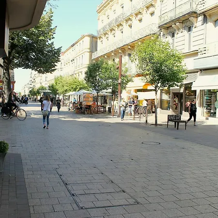 Contact Le Provence 3*
